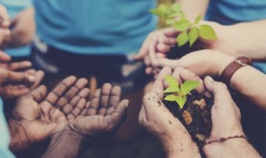 المناطقية: من أسوأ الأمراض الاجتماعية وأكثرها تخلفا، وتضخما للذات المريضة.