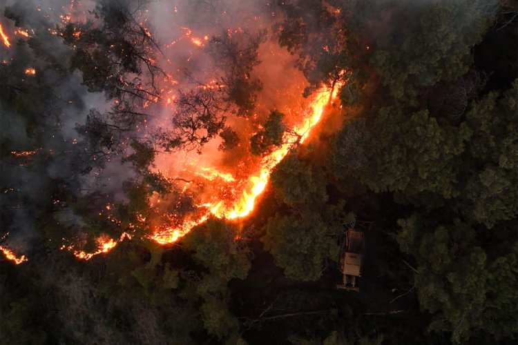 حرائق سوريا: نيران تلتهم الغابات وتكشف هشاشة البنية البيئية