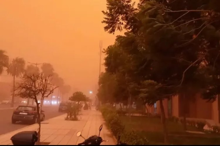 عاصفة ترابية تضرب أكادير جنوب المغرب وتسقط الأشجار